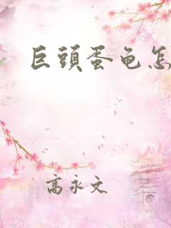 巨头蛋龟怎么养