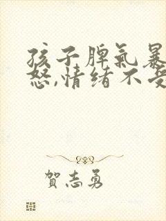 孩子脾气暴躁易怒,情绪不受控制怎么办