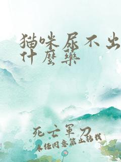 猫咪尿不出来吃什么药