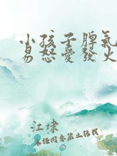 小孩子脾气暴躁易怒爱发火是什么原因