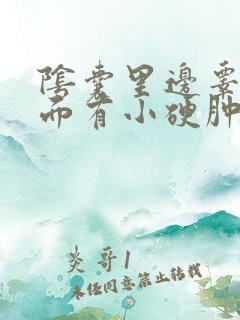 阴囊里边睾丸上面有小硬肿痛