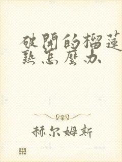 破开的榴莲肉没熟怎么办