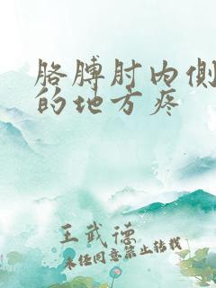 胳膊肘内侧回弯的地方疼