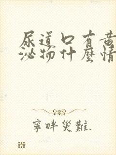 尿道口有黄色分泌物什么情况