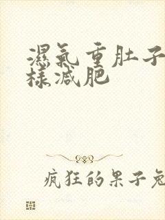 湿气重肚子大怎样减肥