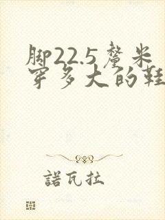 脚22.5厘米穿多大的鞋码