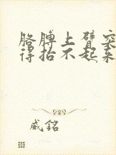 胳膊上臂突然疼得抬不起来