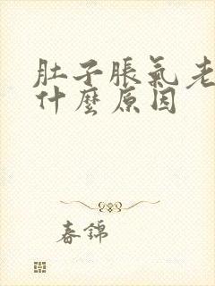 肚子胀气老放屁什么原因