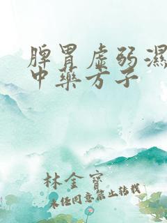 脾胃虚弱湿气重中药方子