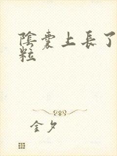 阴囊上长了小肉粒