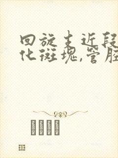 回旋支近段非钙化斑块,管腔轻度狭窄