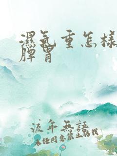 湿气重怎样调理脾胃