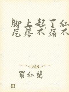 脚上起了红色的疙瘩不痛不痒