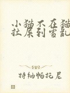 小猫不在猫砂盆拉屎到处乱拉怎么办