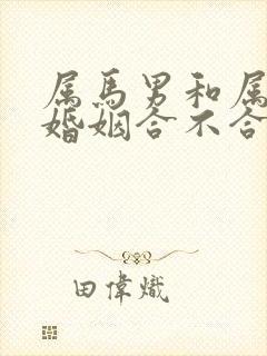 属马男和属龙女婚姻合不合