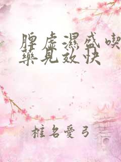 脾虚湿盛吃什么药见效快