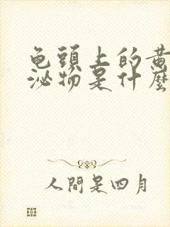 龟头上的黄色分泌物是什么