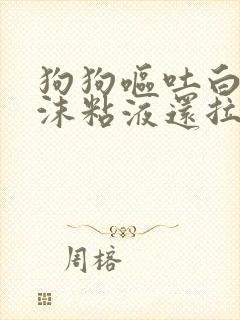 狗狗呕吐白色泡沫粘液还拉稀