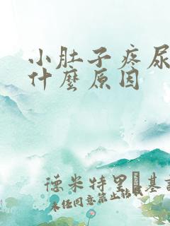 小肚子疼尿多是什么原因