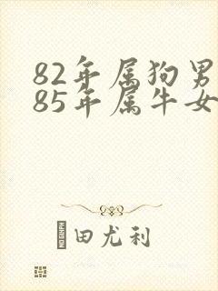 82年属狗男与85年属牛女婚配