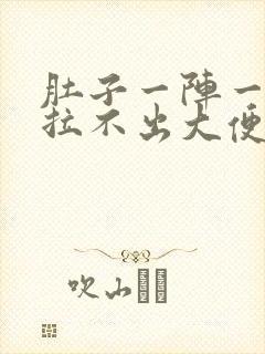 肚子一阵一阵痛拉不出大便