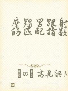 摩羯男跟射手女的匹配指数