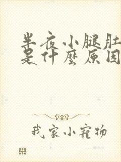 半夜小腿肚抽筋是什么原因引起的