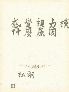 感觉视力模糊是什么原因