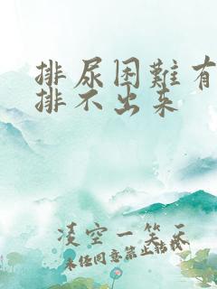 排尿困难有尿意排不出来