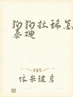 狗狗拉稀怎么办泰迪