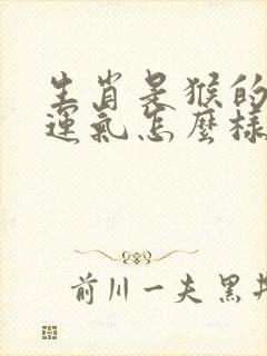 生肖是猴的今年运气怎么样