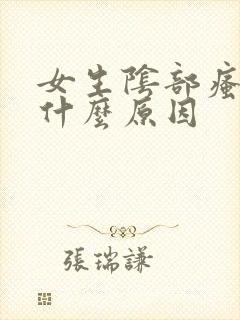 女生阴部瘙痒是什么原因