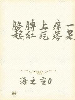 胳膊上痒一挠就起红疙瘩是怎么回事