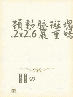 颈动脉斑块10.2x2.6严重吗