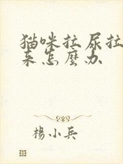 猫咪拉尿拉不出来怎么办