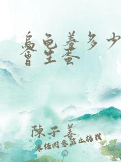 乌龟养多少年才会生蛋