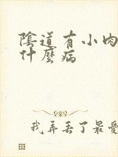 阴道有小肉粒是什么病