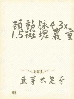 颈动脉4.3x1.5斑块严重吗