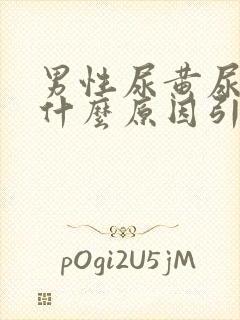 男性尿黄尿疼是什么原因引起的