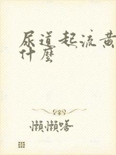 尿道起流黄脓用什么