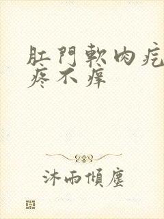 肛门软肉疙瘩不疼不痒