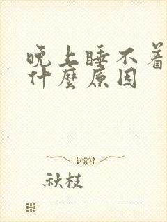 晚上睡不着多梦什么原因