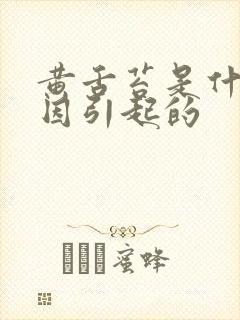 黄舌苔是什么原因引起的