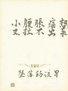 小腹胀痛想大便又拉不出来