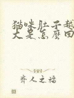 猫咪肚子越来越大是怎么回事?