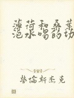 薄荷和桑叶一起泡水喝的功效