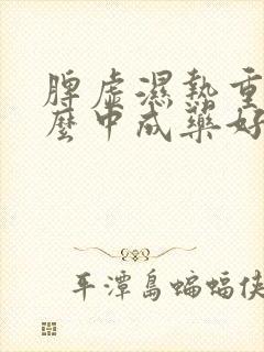 脾虚湿热重吃什么中成药好