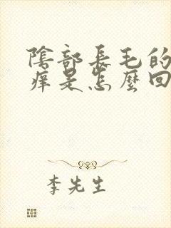 阴部长毛的地方痒是怎么回事