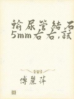 输尿管结石2.5mm右右,该怎么治