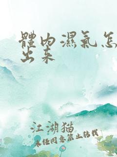 体内湿气怎样排出来